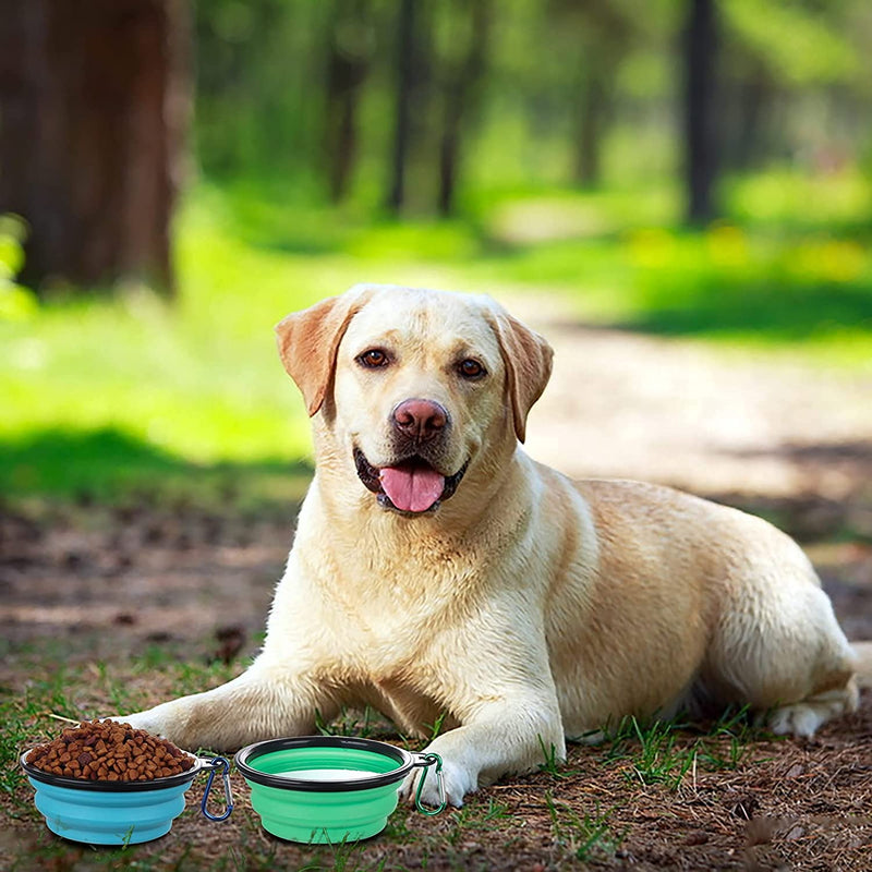SLSON Collapsible Dog Bowls 2 Pack Dog Travel Bowl with Lid and Carabiners Pet Feeding Water Bowl Porable Dog Feeder for Waling, Travellling and Daily Use, Light Blue and Light Green - PawsPlanet Australia