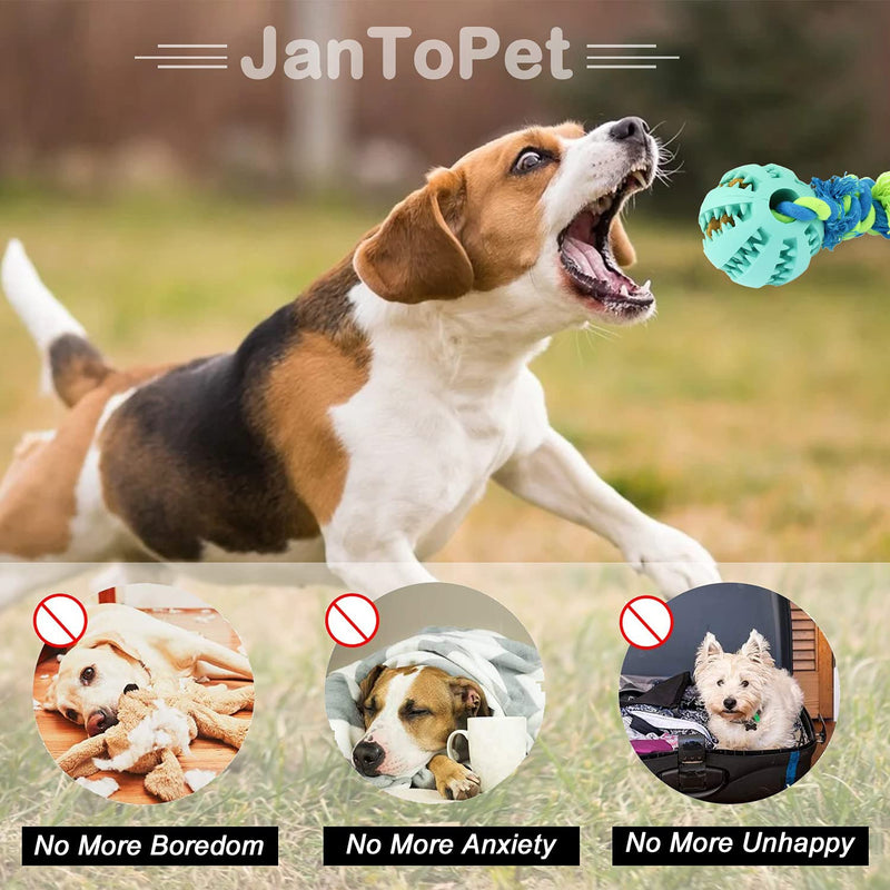 JanToPet Dog Toys Ball, Nontoxic Bite Resistant Toy Ball for Pet Dogs Puppy Cat, Dog Pet Food Treat Feeder Chew Tooth Cleaning Ball Exercise Game IQ Training Ball Teal - PawsPlanet Australia