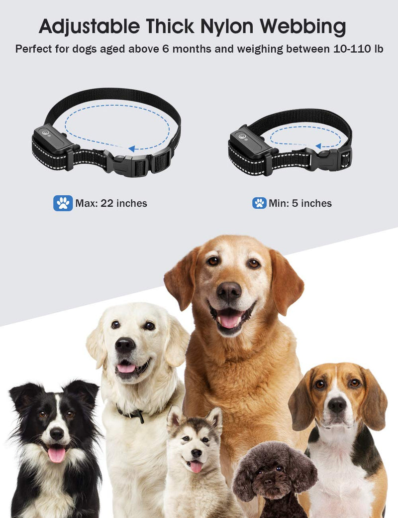 [Australia] - PETDIARY Dog Training Collar, Shock Collar for Dogs with Remote Range Up to 3,300ft Rechargeable and Vibration, Sound, Shocks and Night Light Modes for Large Medium and Small Dogs 