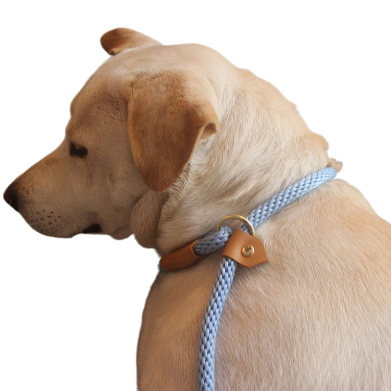 Lucpawz Pet Slip Lead Dog Leash, Easy to Use Braided Rope Slip Leash 6FT, Dog Lead and Collar Combo for All Breeds 6ft*12mm Airy Blue - PawsPlanet Australia