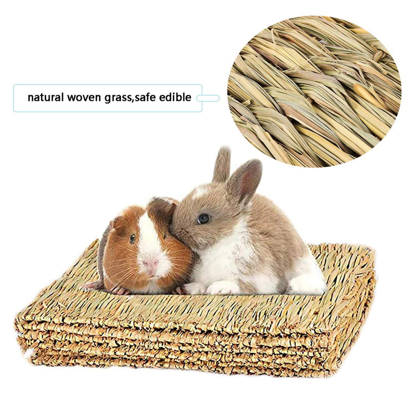 RoadLoo Small Pet Grass Mat, Pack of 2 Natural Grass Mats with 4 Chew Balls Small Animal Safe Edible Grass Mat Toy Woven Animal Chew Toy Small Animal Chew Toy for Rabbit Rat L - PawsPlanet Australia