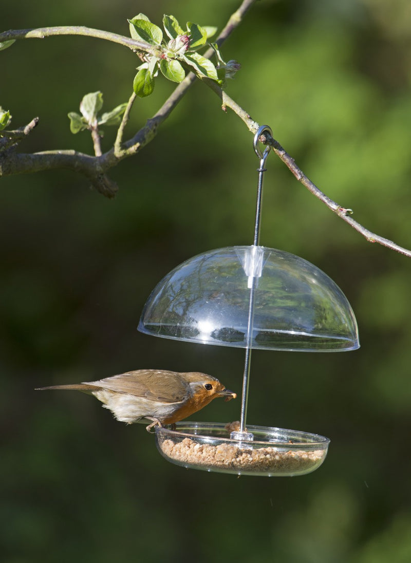 Clear Hanging Bird Feeder - I Love Robins Pearl Feeder with 15cm rain dome - attracts small garden birds. Fill with birdseed or mealworms 1 Clear - PawsPlanet Australia