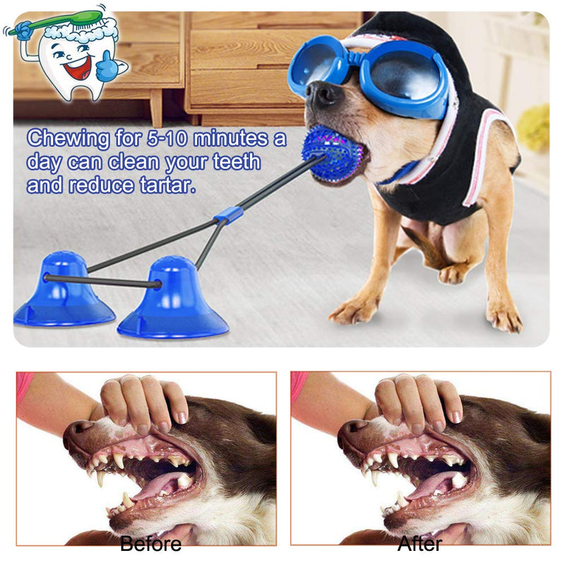 QPQEQTQ Upgrade Suction Cup Dog Toy Dog Chew Toys Interactive Dog Toys Dog Teeth Cleaning Toys Pet Molar Bite Toy Dog Squeaky Tug Toy for Dogs Non-Toxic & Durable Dog Toys Fit<80lb Dog B-Purple - PawsPlanet Australia