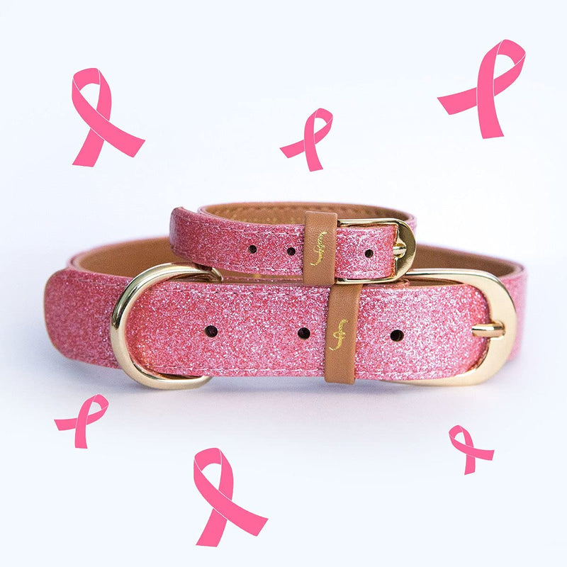 FriendshipCollar Dog Collar and Friendship Bracelet - Glitter Pink - Small - PawsPlanet Australia