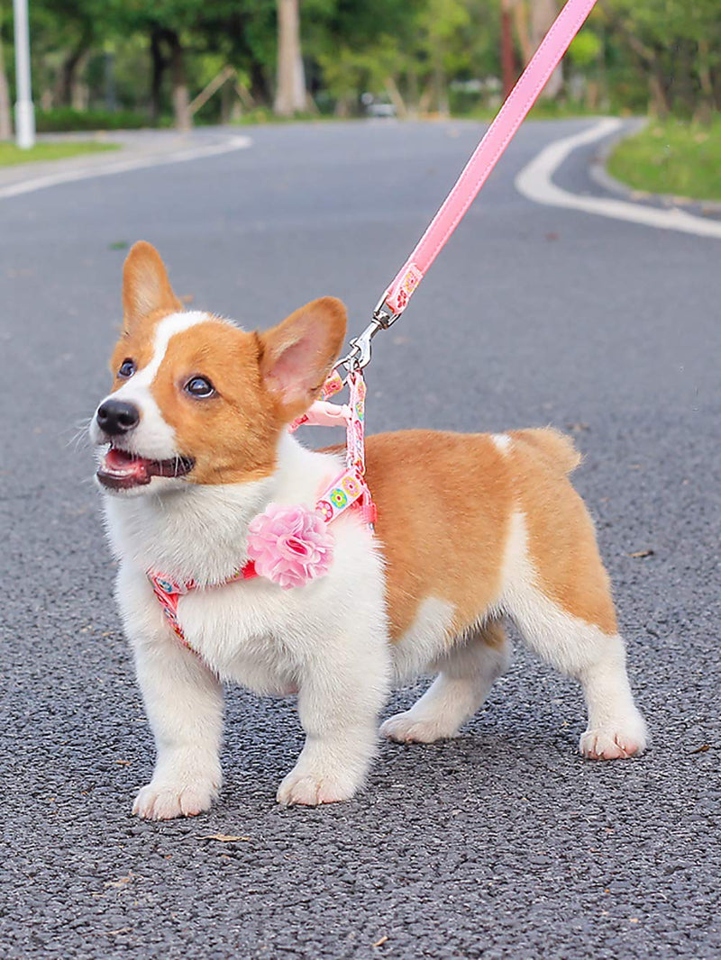 BIPY 4pcs 5cm Pinks Female Dogs Collars Flowers Charms Slides Flowers Bows For Cat Puppy Small Medium Dog Grooming Accessory - PawsPlanet Australia