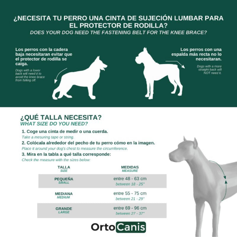 Ortocanis - knee support for dogs with cruciate ligament injuries, patellar luxation or osteoarthritis, size XXS, left leg size XX-Small - PawsPlanet Australia