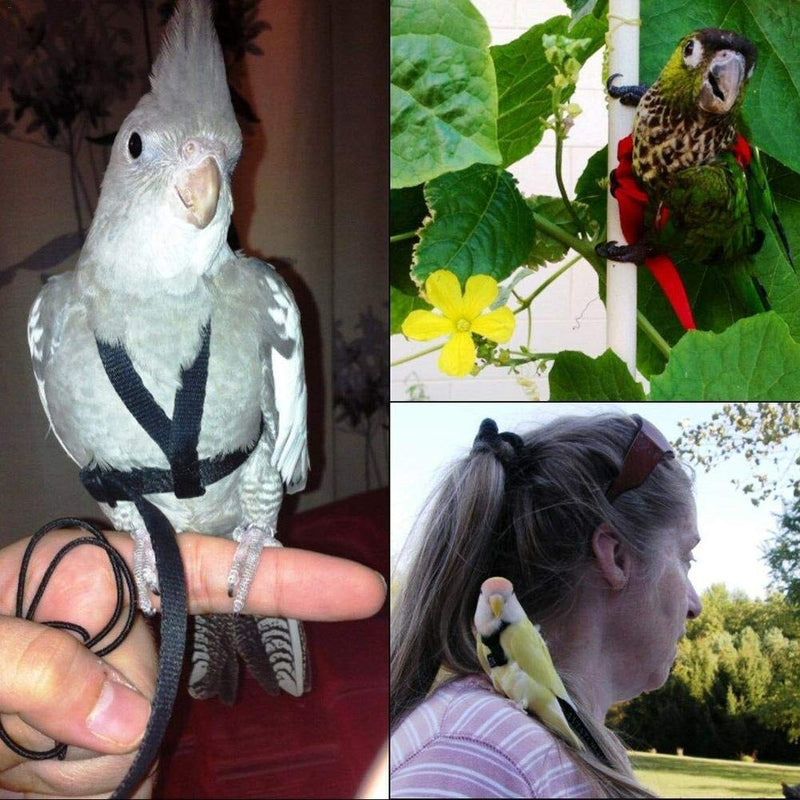 Yestter Elegant Adjustable Anti-Bite Harness and Lead for Pet Birds, Parrots, African Grey, Cockatoos, Yellow Ring Neck, Budgie, Cockatiel XS - PawsPlanet Australia