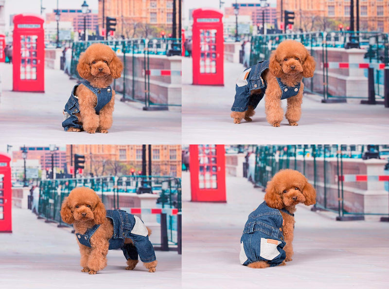 [Australia] - MaruPet Pet Clothes Pet Coverall Jeans, Winter Autumn Dog Jeans Rompers for Teddy, Pug, Chihuahua, Shih Tzu, Yorkshire Terriers, Papillon XS(Back:7.5"Chest:10.0") 