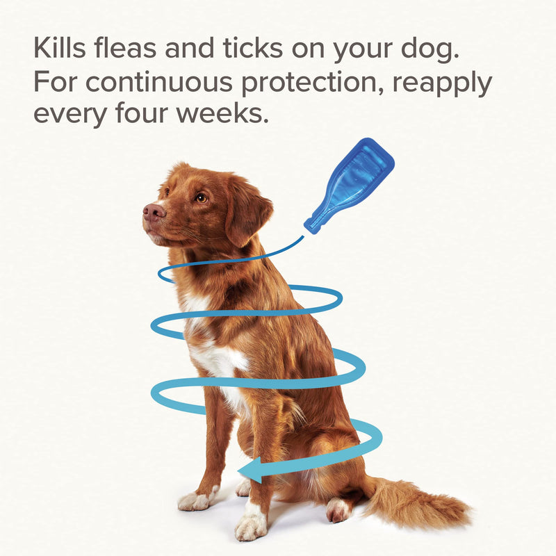 Beaphar | FIPROtec® Spot-On for Medium Dogs (10– 20kg) | Kills Fleas & Ticks | Vet Strength Treatment | 6 Pipettes - PawsPlanet Australia