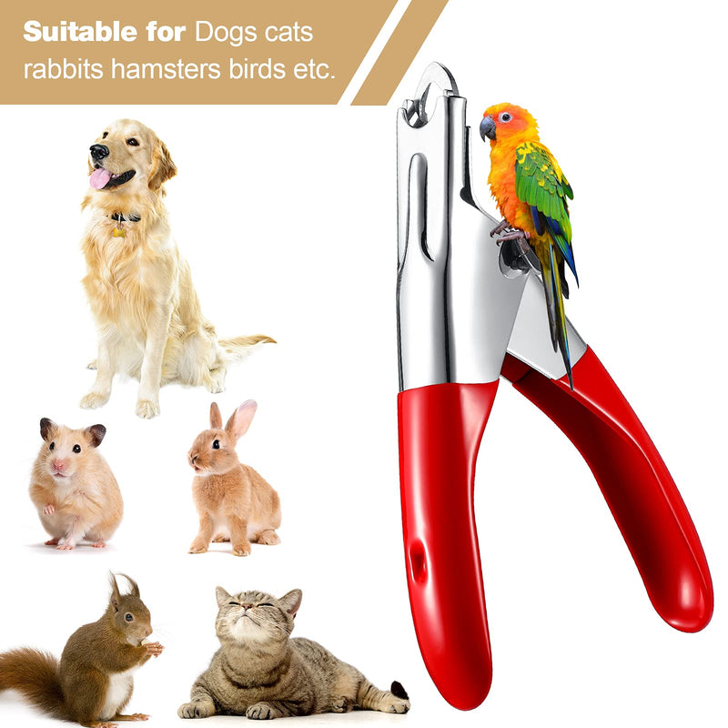 Honoson 2 Pieces Dog Cat Nail Clippers Cat Nail Cutter Dog Nail Clippers Dog Cat Toes Cutter Grooming Tools Pet Claw Trimmer with Stainless Steel Blade for Small Medium Large Breeds Animal Pets - PawsPlanet Australia