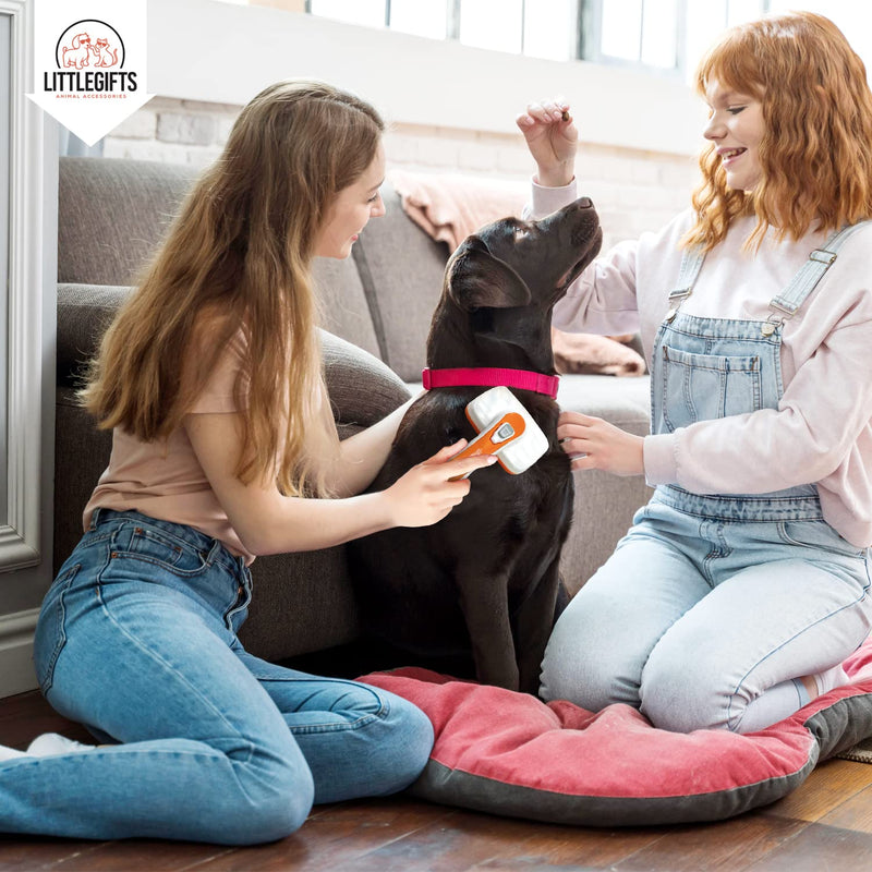 Little Gifts Cat Brush Dog Brush Long Hair Short Hair Animal Hair Remover Animal Hair Brush Cats Dogs Brush - PawsPlanet Australia