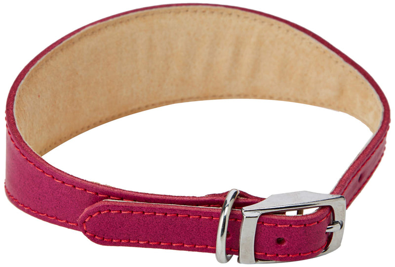 BBD PET PRODUCTS Lurcher Deluxe Collar, Boysenberry - PawsPlanet Australia