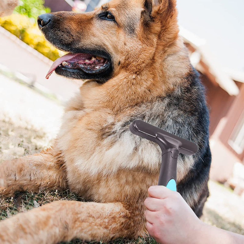 Secwell pet rake comb dog brush double row undercoat rake grooming brush dog rake with double rows 33 teeth blue - PawsPlanet Australia