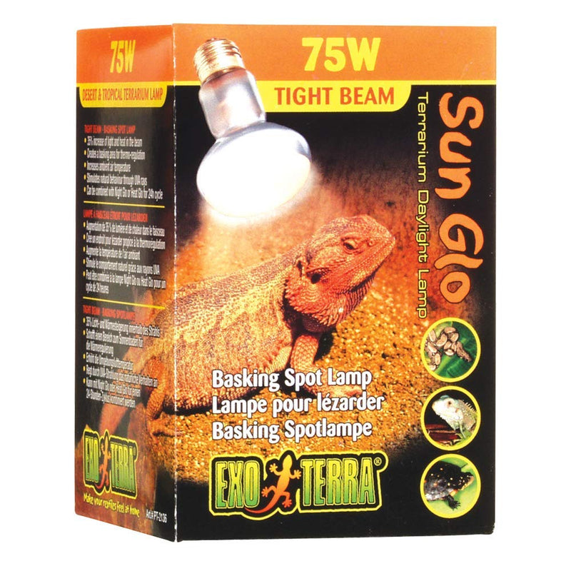 Exo Terra Intense Basking Spot Lamp, 75 W 75 Watt - PawsPlanet Australia