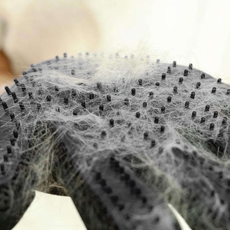 LABUYI 1 piece cat glove, cat brush glove, cat gloves, grooming glove, cat grooming glove, cat glove, cat glove, for dogs, cats, short hair, long hair (right hand) - PawsPlanet Australia