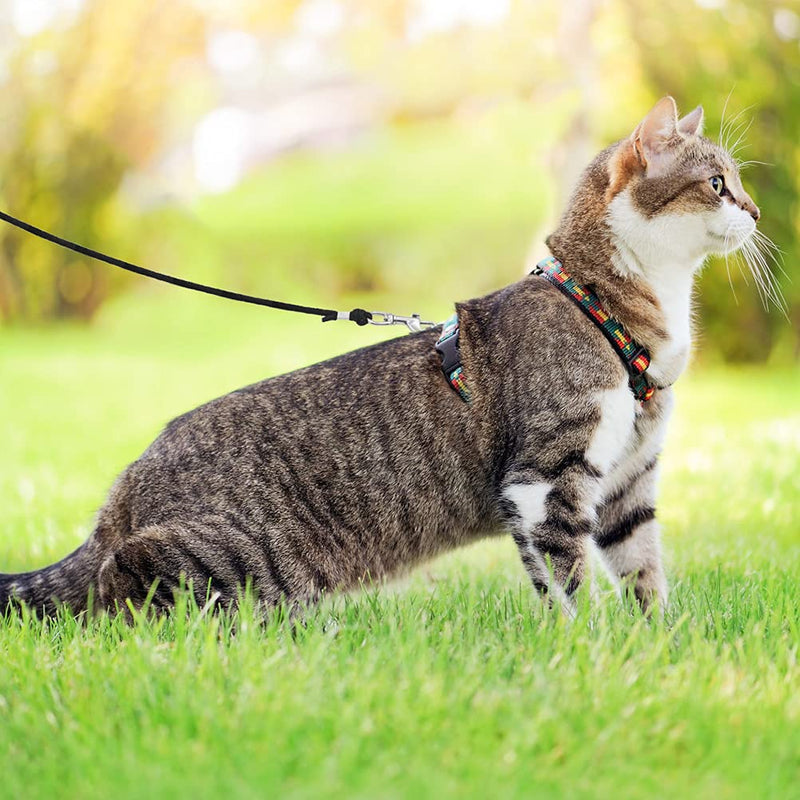 OFPUPPY Long Cat Leash - 15/20/26 FT Escape Proof Walking Long Leash for Yard, Safe & Durable Outdoor Training Leash, Braided Nylon Rope, for Kittens/Puppies/Rabbits/Small Animals 15FT - PawsPlanet Australia