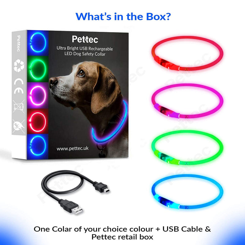 PetTec LED Dog Collar Extra Bright USB Waterproof Cut To Fit Any Size Long Life Rechargeable Lithium Battery Up To 10 Hours High Visibility & Safety Collar (Green) Green - PawsPlanet Australia