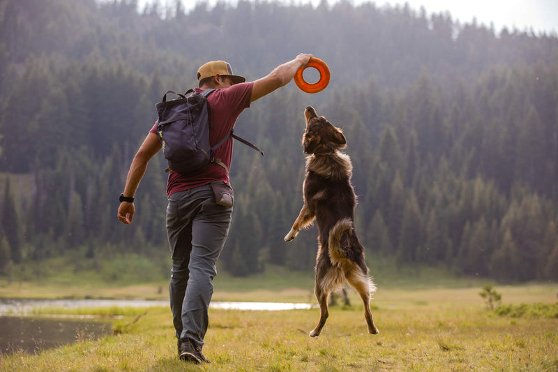 RUFFWEAR, Hydro Plane Floating Disc for Dogs Medium Campfire Orange - PawsPlanet Australia