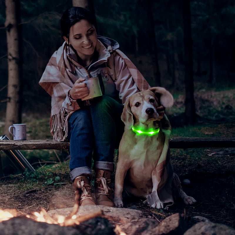 Visinite Rechargeable Dog Light Collar, Fully Adjustable, Waterproof LED Dog Light Collar Made of Neoprene, Glow in the Dark Dog Collar Luminous for Medium Large Dogs Walking at Night L Single LED Light Bulbs - Blue - PawsPlanet Australia