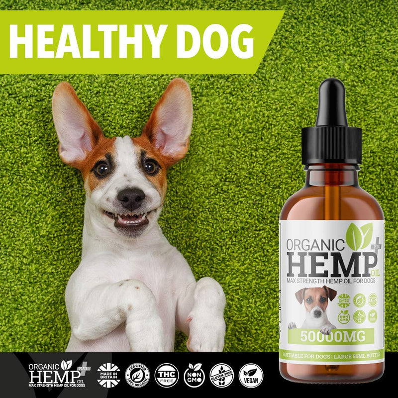 Hello Supplements® Hemp Oil For Dogs | Rich in Omega 3 6 9 | Supports Dog Health & Wellbeing | High Strength Natural Organic Hemp Oil Drops For Dogs | Large 50ml 50 ml (Pack of 1) - PawsPlanet Australia