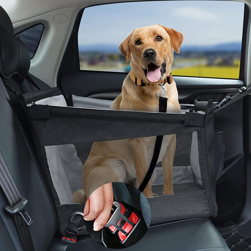 1 piece seat belt for dog car, dog belt for the car, dog seat belt for the car, dog harness car, car belt for dogs, dog belt for car back seat, dog belt for car back seat, for dogs, cats, nylon material - PawsPlanet Australia