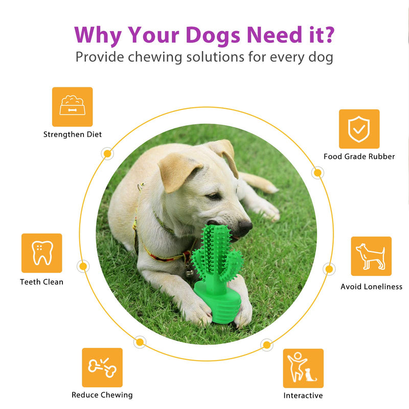 G.C Dog Chew Toys Indestructible Squeaky Toy Cactus Toothbrush Interactive Tough Durable Teeth Cleaning for Aggressive Large Medium Pets Doggy - PawsPlanet Australia