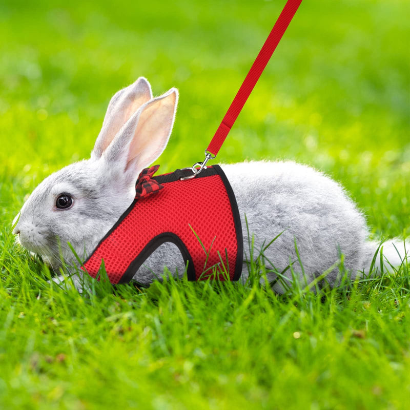Yuehuabao Pack of 2 Rabbit Harnesses, Breathable Rabbit Harness, Soft Mesh for Rabbits, Hamsters with Leash, Small Animals, Jogging (L, Blue Red) - PawsPlanet Australia