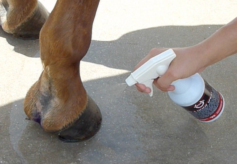 SBS Equine Item 316 hoof Treatment, 16 fl. oz. Spray - PawsPlanet Australia
