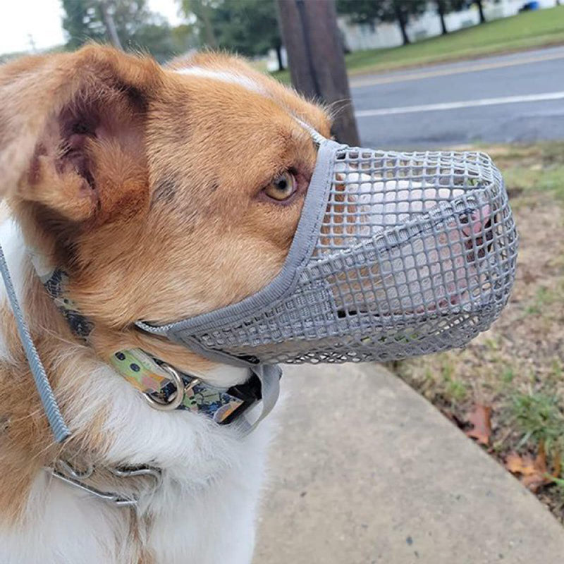 Breathable muzzle for medium-sized dogs, safe muzzle for dogs, adjustable and secure dog muzzle for comfortable wearing, ideal for training, walks and veterinary visits (size L). - PawsPlanet Australia