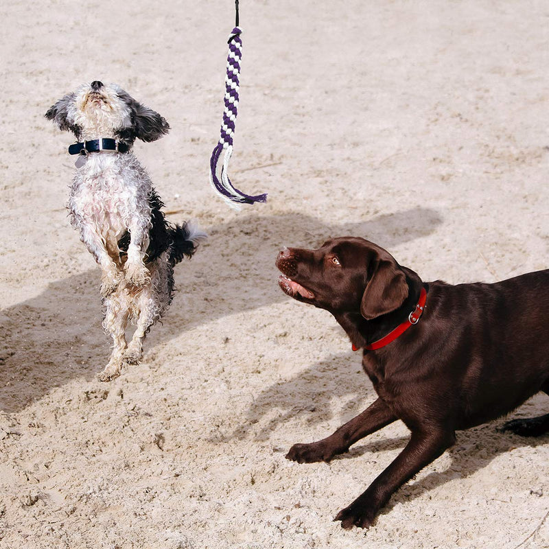 [Australia] - POPETPOP Dog Outdoor Toy Extendable Teaser Wand Outside Interactive Fun Toys with 2 Rope Chew Play Toys for Training Exercise (Size L) 