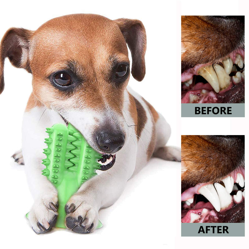 Dog Toothbrush Chew Toy for Aggressive Chewers, Tough Dog Dental Chewing Toys Indestructible Puppy Toys Interactive Dog Toys Teething Toys for Puppies Dogs Teeth Cleaning for Small Medium Large Breed Green - PawsPlanet Australia