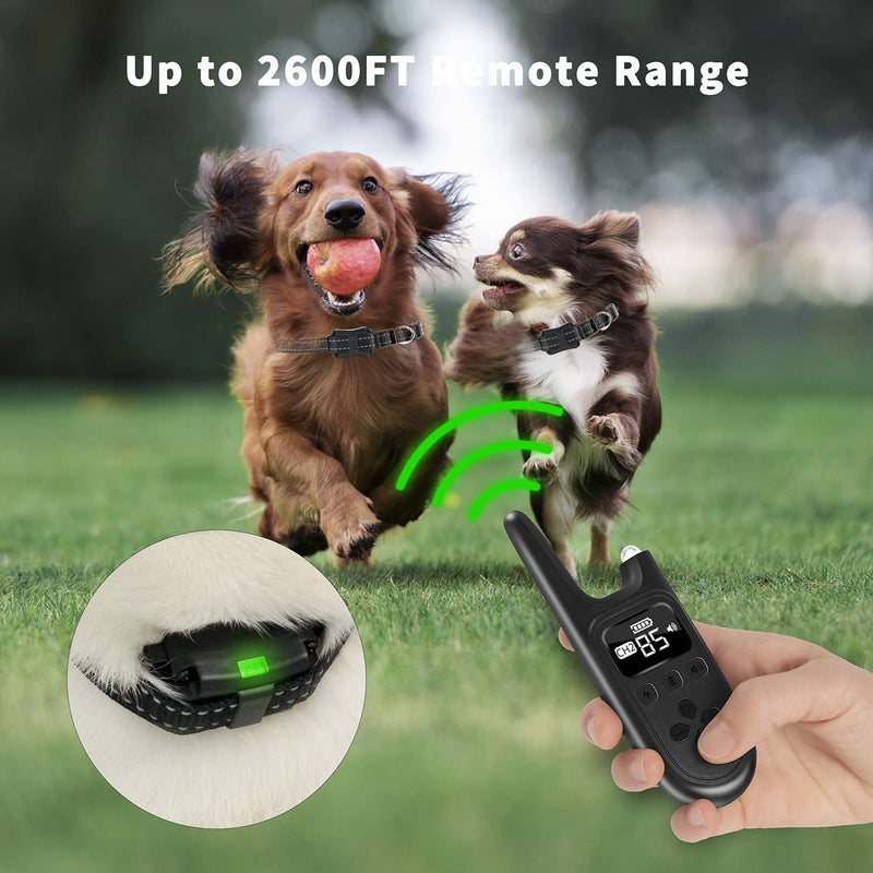 Segorts Dog Training Collar with Remote - Rechargeable Waterproof Dog Shock Collar with 2 Receivers- Beep, Vibration and Shock Modes Electric Dog Barking Collar - Perfect for Small Medium Large Dogs Black - PawsPlanet Australia