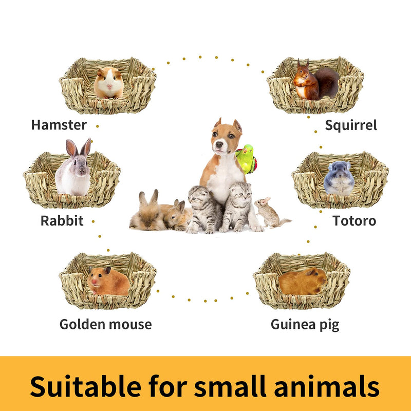Puninoto 2 Pack Grass Bed for Rabbits, Natural Hand-Made Rabbit Reed Grass Mat Bunny Toy, Hamster Gerbil Chinchilla Mice Guinea Pig Other Small Animals Soft Beds for Sleep - PawsPlanet Australia