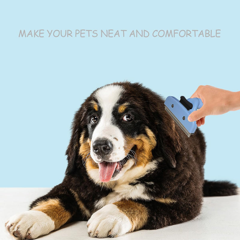 CUESVAP dog brush undercoat, professional cat brush easily removes dead hair, stainless steel undercoat brush for short hair and long hair, dogs and cats blue - PawsPlanet Australia
