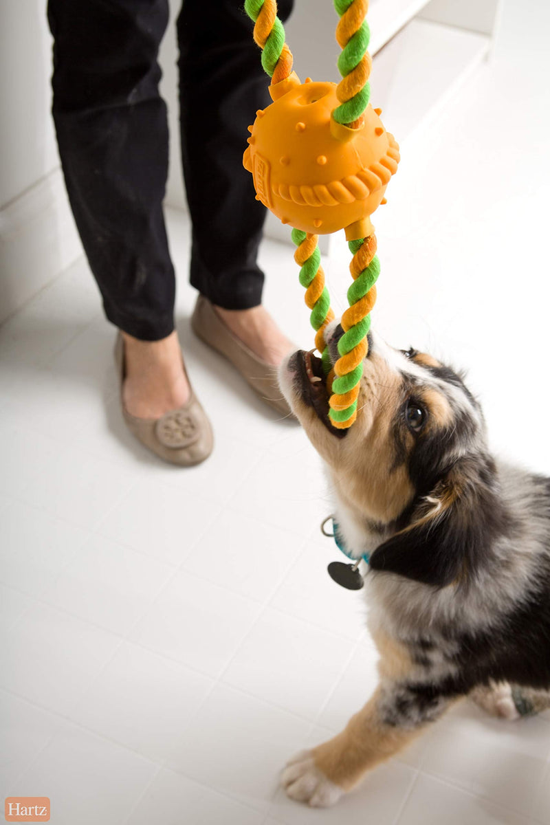 Hartz DuraPlay Tug of Fun Squeak & Rope Dog Toys, Bacon Scented for Medium/Large Dogs Double Ring - PawsPlanet Australia