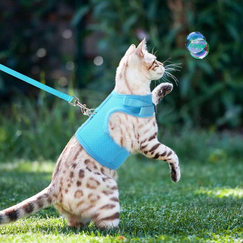 [Australia] - Escape Proof Cat Harness with Leash Adjustable Soft Mesh - Best for Walking S Blue 