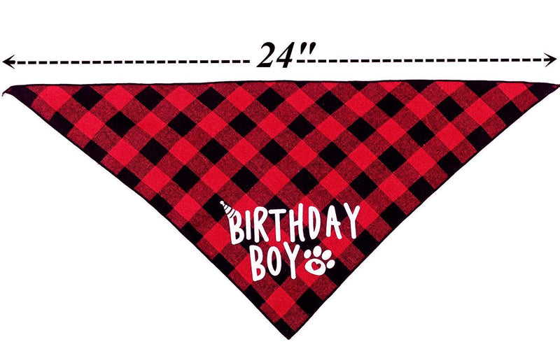 JPB Birthday Boy Dog Bandana Original version - PawsPlanet Australia