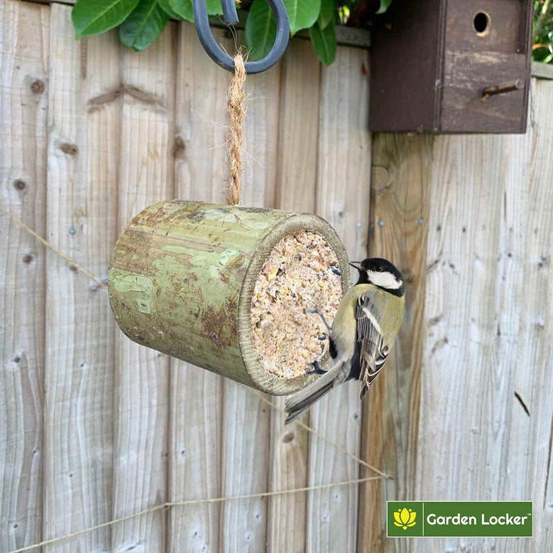Bamboo Suet Bird Feeder - Scrumptious Seeds Flavour - Wild Bird Food for Hanging Outdoors - Garden Feeder Attracting Tits, Finches, Robins & many more Wild Birds Bamboo Suet Feeder - PawsPlanet Australia