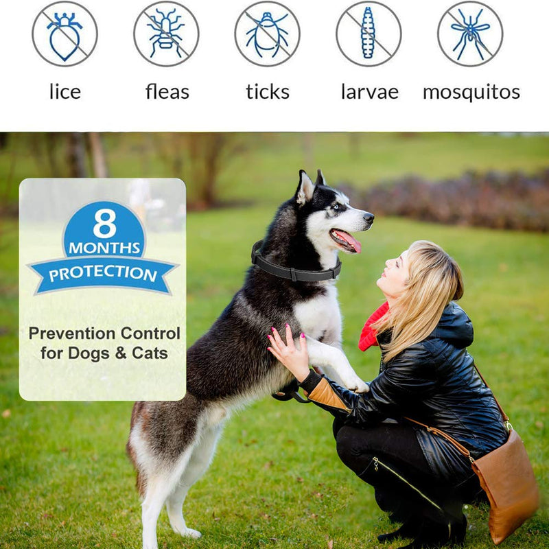 SEGMINISMART Flea and Tick Collar,Flea and Tick Prevention for Dogs,Dog Flea Collar,Pet Collar for Dogs and Cat,Adjustable & Waterproof One Size Fits All - PawsPlanet Australia