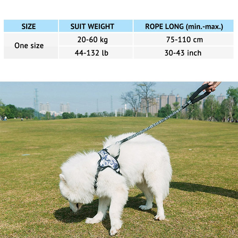 Dog Lead Bungee, Shock Absorbing Elastic Dog Lead with Soft Handle and Zinc Alloy Hardware,Heavy Duty Strong Anti Pull Pet Training Rope Leash for Medium and Large Dogs Grey - PawsPlanet Australia