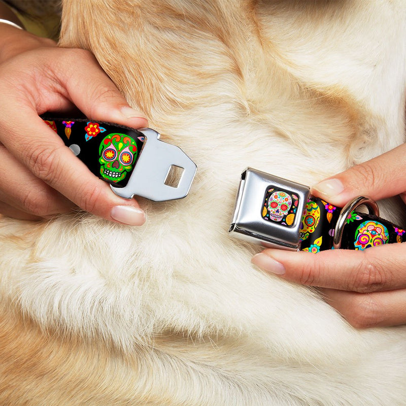 [Australia] - Buckle-Down Seatbelt Buckle Dog Collar - Colorful Calaveras Black/Multi Color 1" Wide - Fits 15-26" Neck - Large 