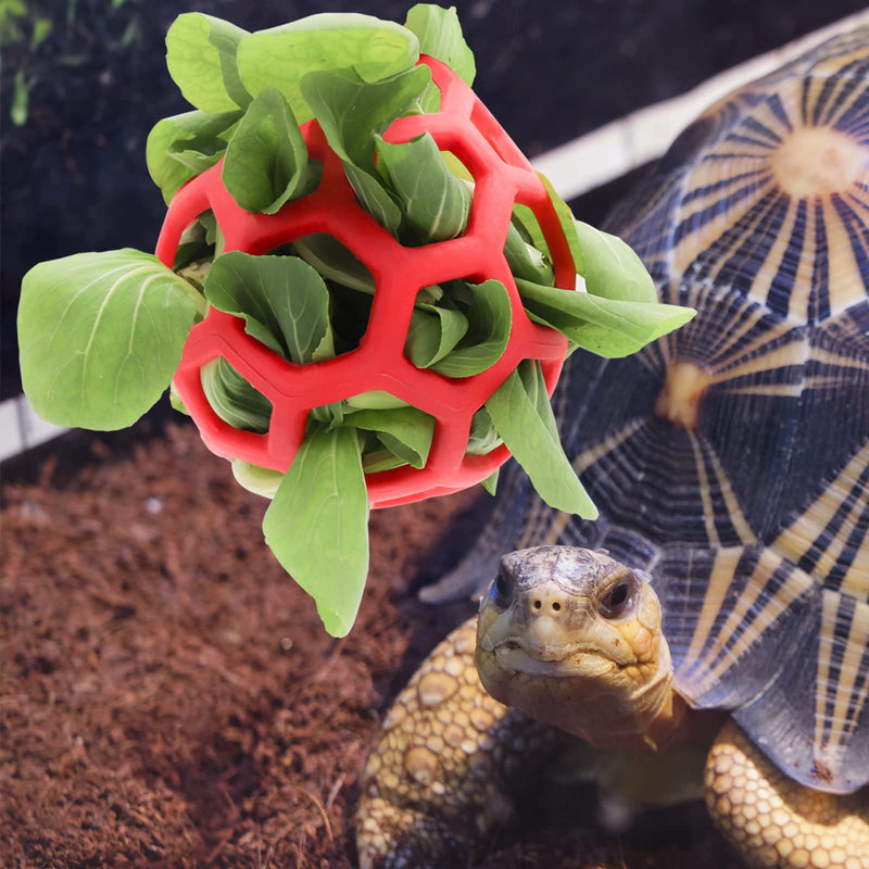 LODCZIOE Turtle Treat Ball Toy Hay Feeder Ball, Feeding Grass Ball for Turtle, Fruit Vegetable Feeder Holder Foraging Toy for Small Animals Pet Red/Excursion, Plain (Getaway Solids) - PawsPlanet Australia