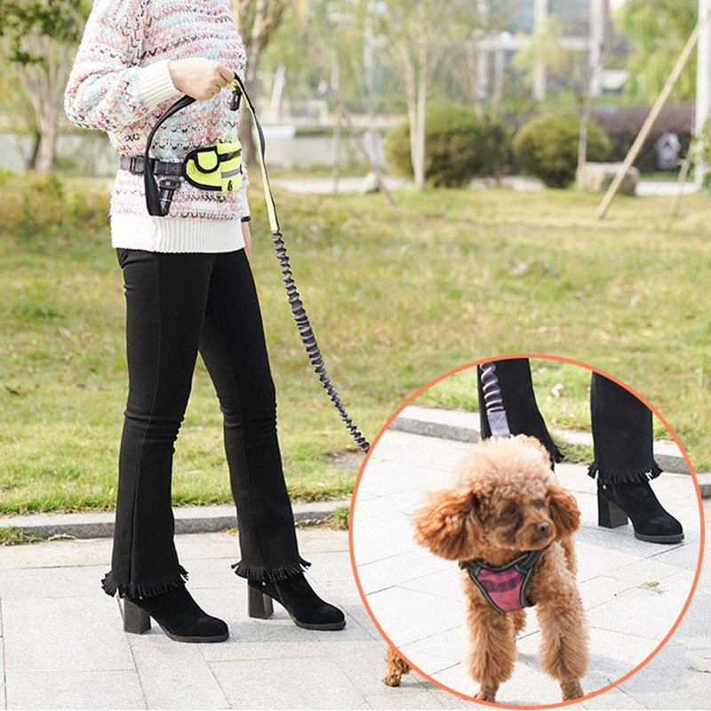 Pet Dog Running Elastic Belt Reflective Stripe Leashes Rope Hands Free Dog Leash Training Running Walking Leash with Waterproof Waist Bag - PawsPlanet Australia