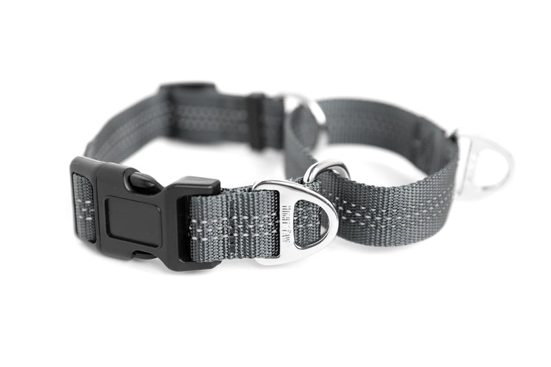 [Australia] - Mighty Paw Martingale Nylon Training Collar. Our Trainer Approved Limited Slip Collar. Modified Cinch Collar for Controlled Force for Optimal Training. Reflective Stitching to Keep Your Dog Safe! Large Grey 