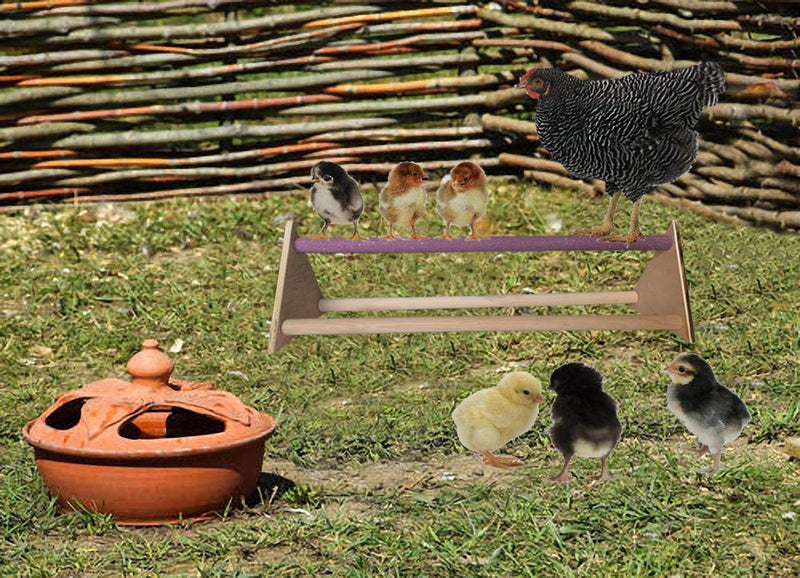 Vehomy Chicken Perch Chicken Wood Stand Chicken Toy for Hens Handmade Chicken Swing Bird Perch Stand Toy for Large Bird Parrot Hens Macaw - PawsPlanet Australia