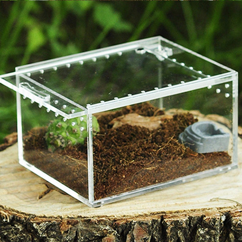 Clear Reptile Breeding Box,Small Acrylic Terrarium Full View Visually with Sliding Design Feeding Box for Insect Reptiles Tarantulas Amphibians Lore Caterpillars Cricket Spider Snail Reptile - PawsPlanet Australia