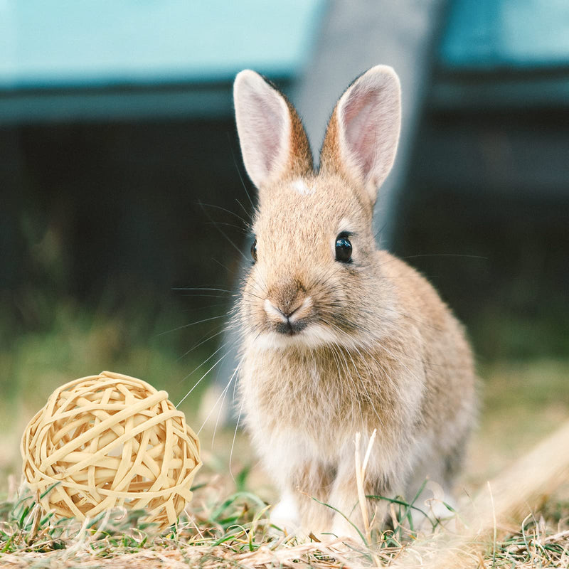 Episkey 12 Pcs Rabbit Toys, Rabbit Treats Guinea Pig toys Small Pets Chew Balls Grass Balls Natural Toys with Timothy Grassring for Rabbits Chinchilla Bunnies Gerbils and Hamster (2.75-3.15") 2.75-3.15" - PawsPlanet Australia