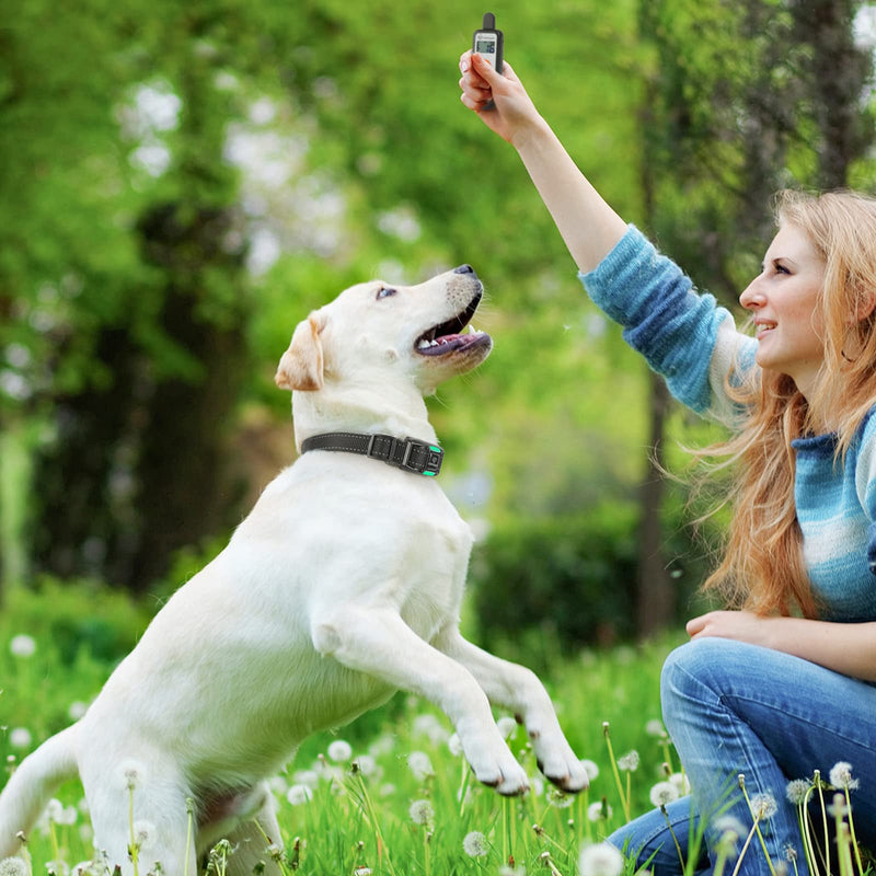 rabbitgoo Dog Shock Collar, Dog Training Collar with Remote, 3 Modes Beep/Vibration/Shock, Rechargeable Waterproof Shock Collar for Dogs, Adjustable Levels for Large Breeds Medium Small Dogs Black&White - PawsPlanet Australia