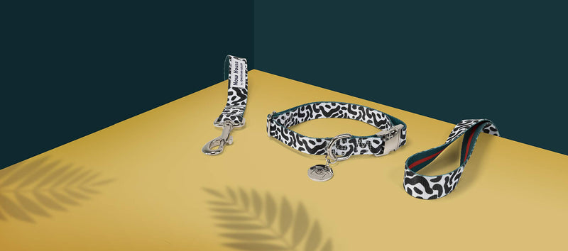 "Jonathan Adler: Now House Collar -Small", leopard S - PawsPlanet Australia