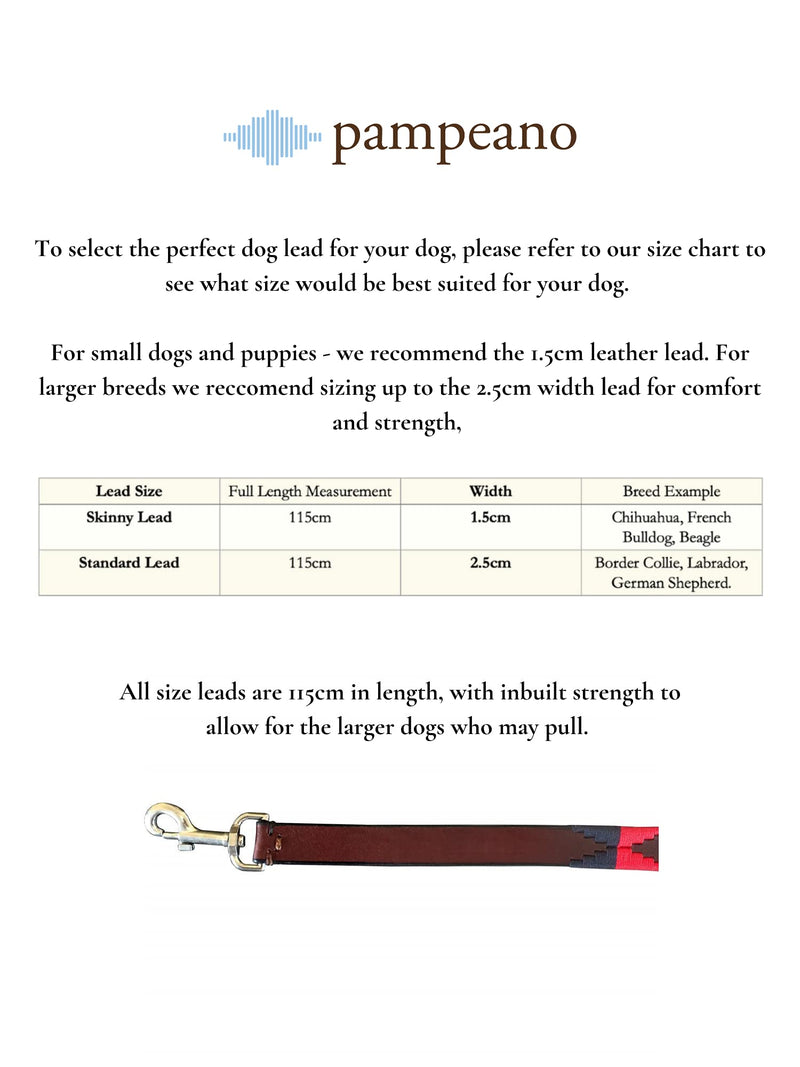 Azules Premium Argentine Leather Handcrafted Polo Dog Lead - Gift Boxed by pampeano | Dog Leads for All Breeds | 1.5cm Wide, Top Grain Brown Leather Lead With A Stainless Steel Clasp Small / 1.5cm - PawsPlanet Australia